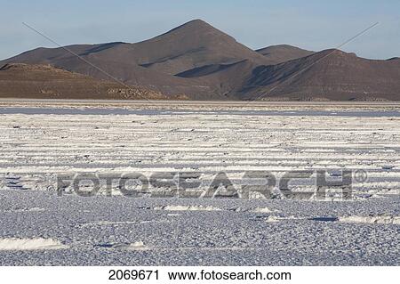 Stock Image - Salt Cells In The Salar De Uyuni, The World's Largest Salt Flat, Potosi Department, Bolivia. Fotosearch