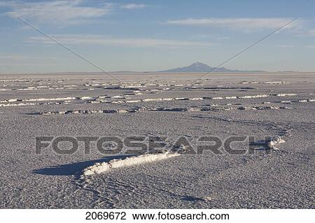 Salt Cells In The Salar De Uyuni, The World's Largest Salt Flat, Potosi Department, Bolivia View Large Photo Image Stock Image - Salt Cells In The Salar De Uyuni, The World's Largest Salt Flat, Potosi Department, Bolivia. Fotosearch