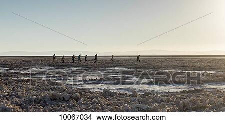 Picture - Salt Flats, Los Flamencos National Reserve; San Pedro de Atacama, Antofagasta Region, Chile. Fotosearch