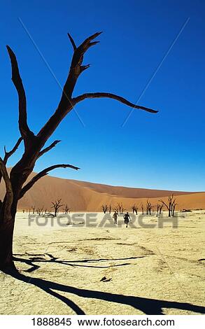 Stock Photography - Salt Pan At Dead Viel. Fotosearch
