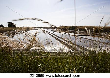 Stock Photo - Salt pans and the production of 'Fleur De Sel' sea salt on Ile De Re.. Fotosearch