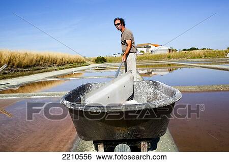 Salt pans and the production of 'Fleur De Sel' sea salt on Ile De Re. View Large Photo Image Stock Photograph - Salt pans and the production of 'Fleur De Sel' sea salt on Ile De Re.. Fotosearch