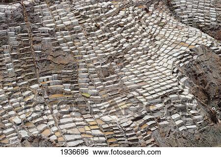 Stock Photograph - Salt Pans In Sacred Valley; Maras Peru. Fotosearch
