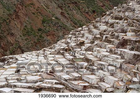 Salt Pans; Maras Peru View Large Photo Image Stock Image - Salt Pans; Maras Peru. Fotosearch