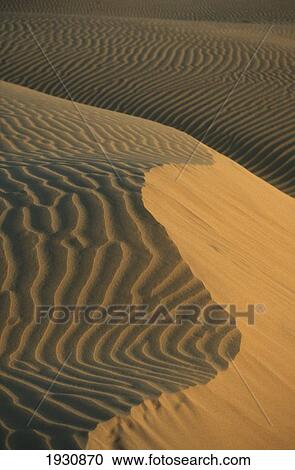 Stock Image - Sam, Thar Desert, Rajasthan, India. Fotosearch
