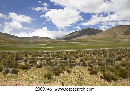 Stock Photography - Sama National Park, Tarija, Bolivia. Fotosearch
