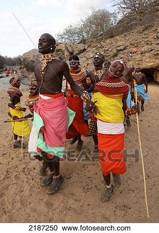 Samburu dancers at a courtship ceremony; Samburu, Kenya View Large Photo Image Stock Image - Samburu dancers at a courtship ceremony; Samburu, Kenya. Fotosearch