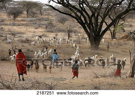 Stock Image - Samburu Manyatta Village&#Xa; Samburuland Kenya. Fotosearch
