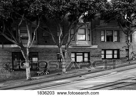 Stock Image - San Francisco, California, Usa; Person Walking Dog Down City Hill. Fotosearch