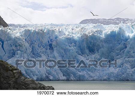 Stock Image - San Rafael Glacier And Laguna San Rafael, Laguna San Rafael National Park, Aysen Region, Chile. Fotosearch