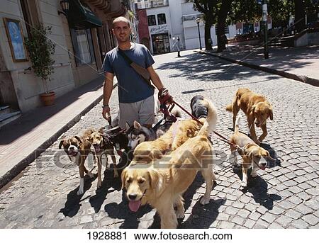 Stock Image - San Telmo Dogwalker. Fotosearch
