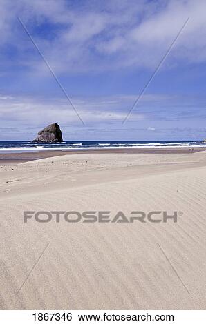 Sand Dune At Cape Kiwanda, Pacific City, Oregon, United States Of America View Large Photo Image Stock Photograph - Sand Dune At Cape Kiwanda, Pacific City, Oregon, United States Of America. Fotosearch