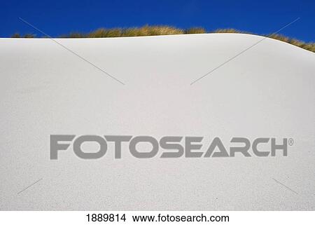 Picture - Sand Dune. Fotosearch