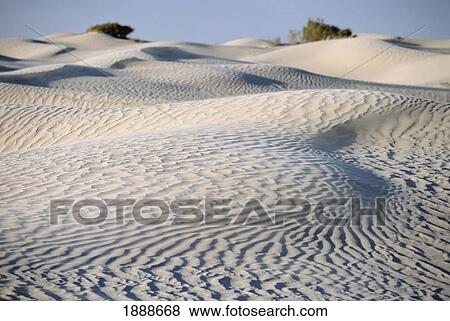 Sand Dunes In Sahara Desert Near Douz View Large Photo Image Stock Photo - Sand Dunes In Sahara Desert Near Douz. Fotosearch