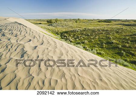 Sand Dunes In The Great Sand Hills; Sceptre Saskatchewan Canada View Large Photo Image Stock Image - Sand Dunes In The Great Sand Hills; Sceptre Saskatchewan Canada. Fotosearch