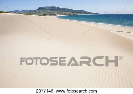 Stock Photograph - Sand Dunes On White Sand And The Ocean; Bolonia Andalusia Spain. Fotosearch
