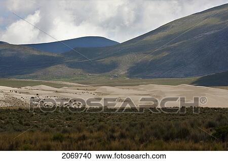 Stock Image - Sand Dunes, Sama National Park, Tarija, Bolivia. Fotosearch