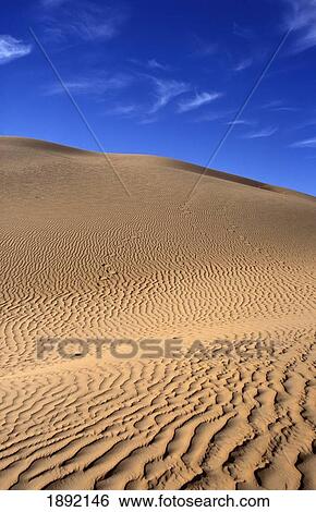 Stock Photograph - Sand Dunes. Fotosearch