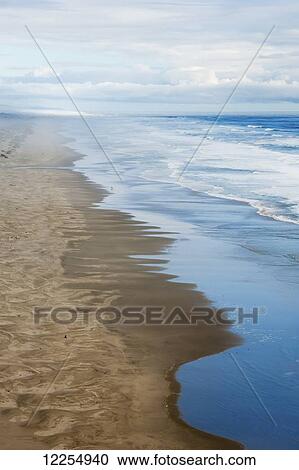 Sandy beach along the Pacific coast; Oregon, United States of America View Large Photo Image Stock Image - Sandy beach along the Pacific coast; Oregon, United States of America. Fotosearch