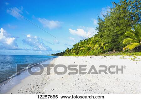 Sandy beach and lush vegetation along the coastline; Nauru View Large Photo Image Stock Photography - Sandy beach and lush vegetation along the coastline; Nauru. Fotosearch