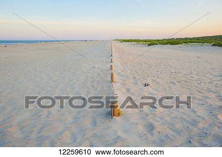 Stock Image - Sandy beach at the Assateague Island National Seashore; Maryland, United States of America. Fotosearch