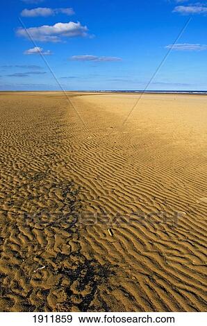 Stock Photo - Sandy Beach, Lincolnshire, Uk. Fotosearch