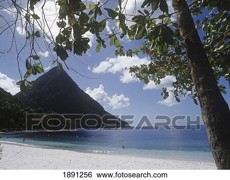 Stock Photograph - Sandy Beach. Fotosearch
