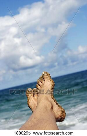 Sandy Feet By The Ocean, Close Up View Large Photo Image Stock Photography - Sandy Feet By The Ocean, Close Up. Fotosearch