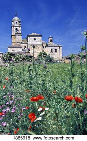 Stock Photo - Santa Maria Del Manzano And Wild Flowers. Fotosearch