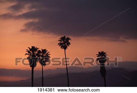 Stock Image - Santa Monica Beach. Fotosearch