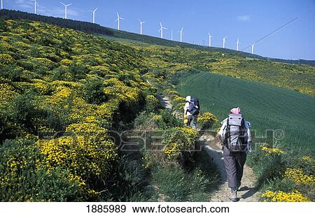 Santiago Pilgrims On Path Ascend To The Summit Of Sierra Del Perdon View Large Photo Image Stock Photo - Santiago Pilgrims On Path Ascend To The Summit Of Sierra Del Perdon. Fotosearch