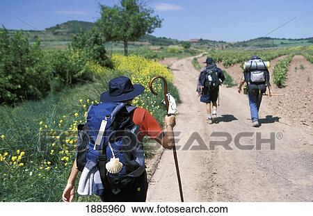 Santiago Pilgrims Walking On Path View Large Photo Image Stock Image - Santiago Pilgrims Walking On Path. Fotosearch