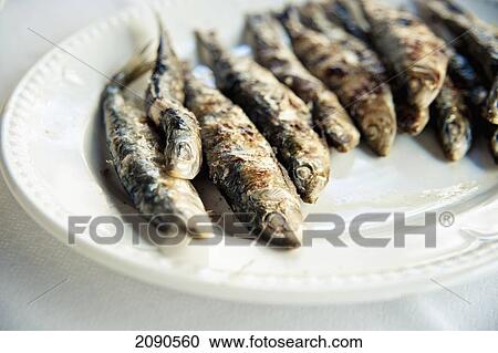 Stock Image - Sardinas De Santurce, Santurtzi, Basque Country, Spain. Fotosearch