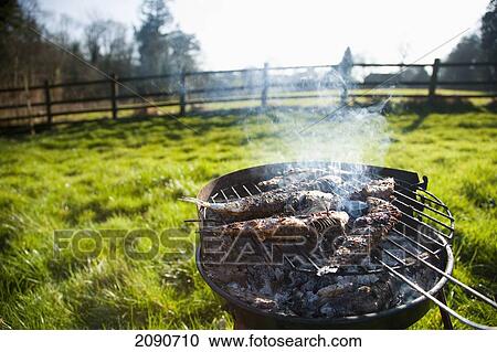 Stock Image - Sardines/ Cornish Pilchards, Barbecue In A Garden Of A Rural Cottage On Field In Devon, Uk. Fotosearch