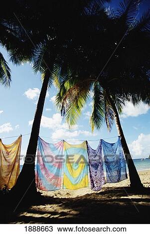 Sarongs Hanging On A Clothes Line Between Two Palm Trees On The Beach View Large Photo Image Stock Image - Sarongs Hanging On A Clothes Line Between Two Palm Trees On The Beach. Fotosearch