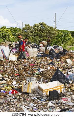 Picture - Scavenging In Unsanitary, Illegal Garbage Dump, Bali, Indonesia. Fotosearch