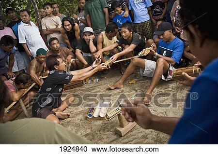 Scenes At A Cricket Fight View Large Photo Image Stock Image - Scenes At A Cricket Fight. Fotosearch