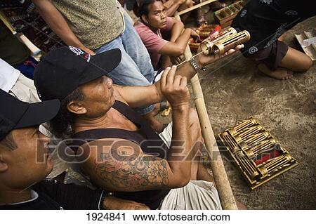Stock Image - Scenes At Cricket Fight. Fotosearch