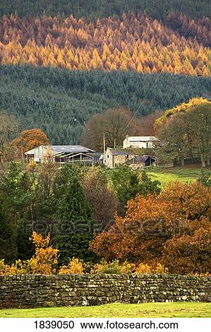 Stock Image - Scenic Autumn Landscape With Country Houses; England, Uk. Fotosearch