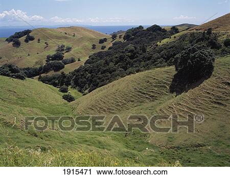 Stock Image - Scenic Coastal Landscape. Fotosearch