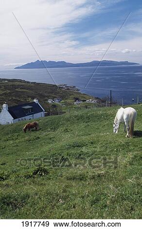 Scenic Coastal Landscape View Large Photo Image Stock Photo - Scenic Coastal Landscape. Fotosearch