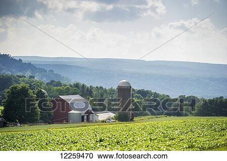 Scenic landscape of farm in Garrett County; Maryland, United States of America View Large Photo Image Stock Image - Scenic landscape of farm in Garrett County; Maryland, United States of America. Fotosearch