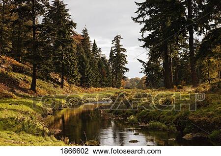 Scenic River, Northumberland, England View Large Photo Image Stock Image - Scenic River, Northumberland, England. Fotosearch
