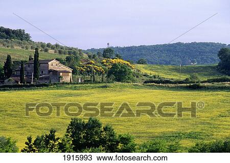 Stock Image - Scenic Rural Landscape. Fotosearch