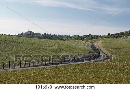 Stock Photo - Scenic Rural Landscape. Fotosearch