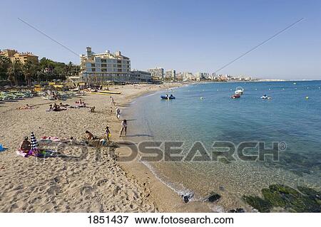 Stock Photo - Scenic Shot Of A Beach. Fotosearch