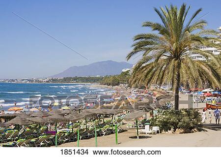 Picture - Scenic Shot Of Busy Beach. Fotosearch
