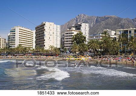 Scenic Shot Of Busy Beach View Large Photo Image Stock Image - Scenic Shot Of Busy Beach. Fotosearch