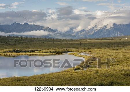 Picture - Scenic view along Richardson Highway, Interior Alaska, summer. Fotosearch