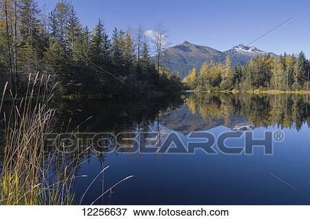 Stock Photo - Scenic view of Mendenhall Recreation Area and Moose Lake, Tongass National Forest, Juneau, Southeast Alaska, Autumn. Fotosearch